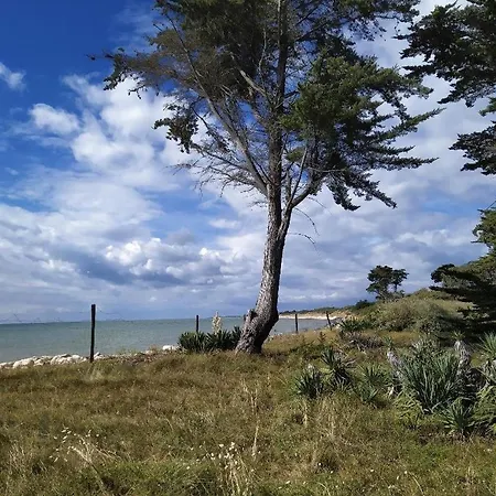 別荘 Maison 4 Pers A 1000 M De La Plage, Jardin & Bbq Les Portes-en-Re